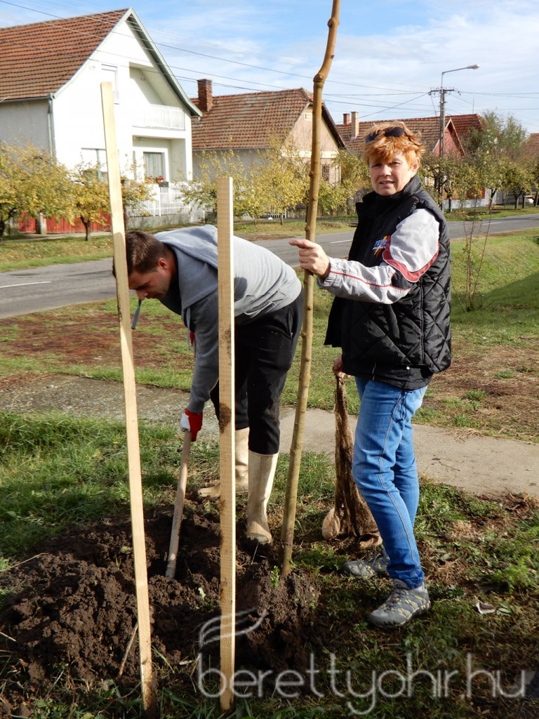 Közösségi faültetés Berettyóújfaluban 38